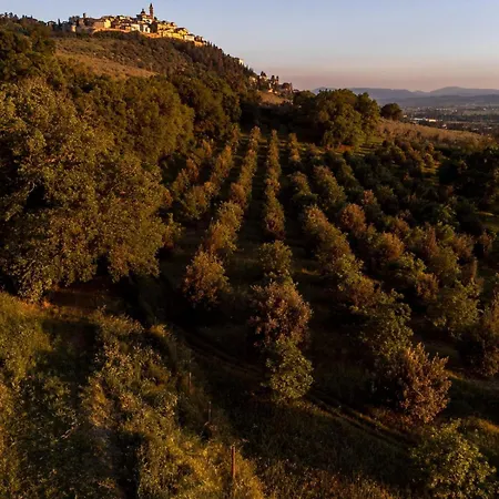 Penzion Tenuta San Pietro A Pettine