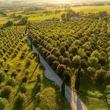 Tenuta San Pietro A Pettine Penzion Trevi